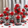 Forever Rose