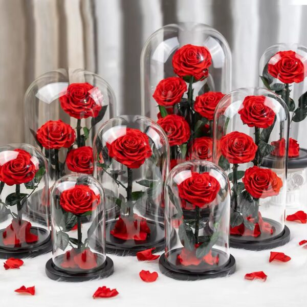 Forever Rose