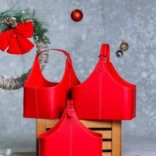 95d1e454-4882-4f2e-8c9c-6ffb72eb2052 Red Piknik bag