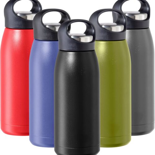 Water bottle with handle
