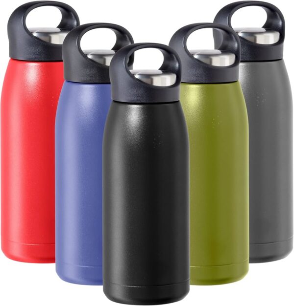 Water bottle with handle