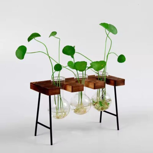Glass Vase With Wooden Stand