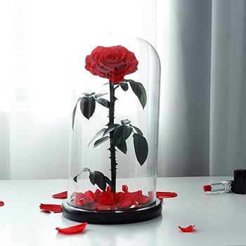 Forever Rose Flower