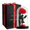 Forever Rose Flower