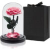 Forever Rose Flower