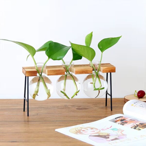 Glass Vase With Wooden Stand