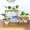 Glass Vase With Wooden Stand