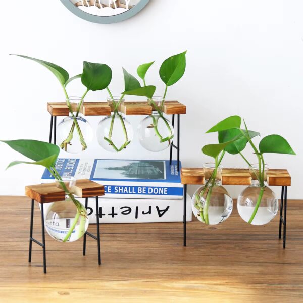 Glass Vase With Wooden Stand