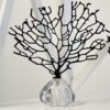 Black tree of life large