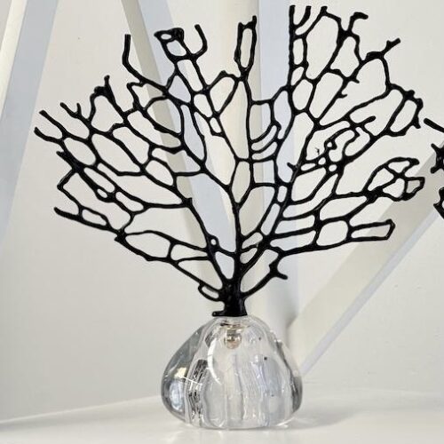 Black tree of life large