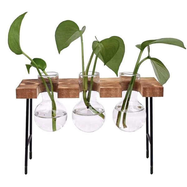 Glass Vase With Wooden Stand