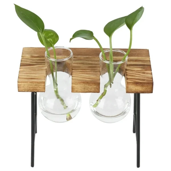 Glass Vase With Wooden Stand