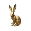 Gold rabbit