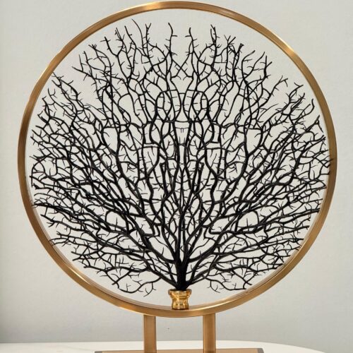 Tree Of Life