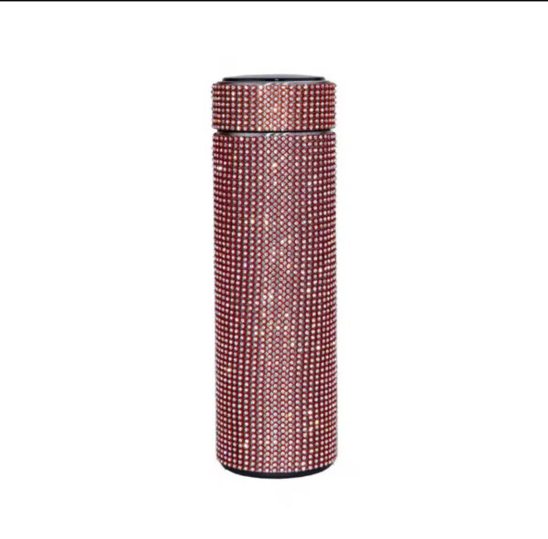 Bling Water Bottle With Thermometer