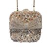 Crystal Bow Clutch
