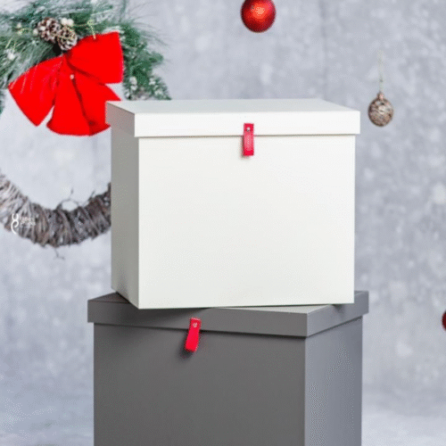MER13060-White_trunk_with_red_strap-0.jpeg White trunk with red strap